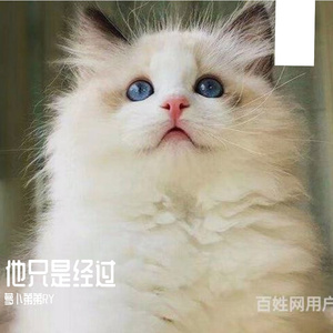 《他只是经过》