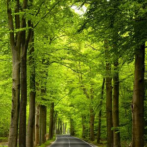 年少的你啊 伴奏