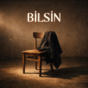 Bilsin