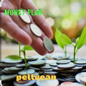 Money plan