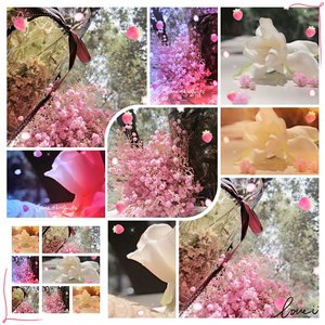 《满天星之花蕊低语（男生版）》