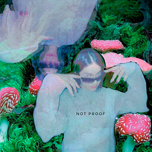 Not Proof