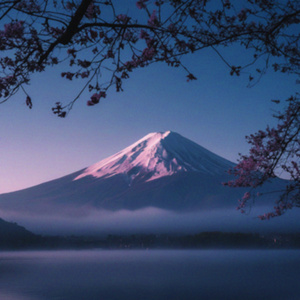 fuji