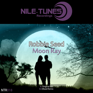 Moon Ray (Original Mix)