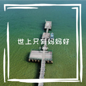 世上只有妈妈好