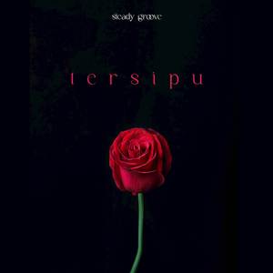 Tersipu