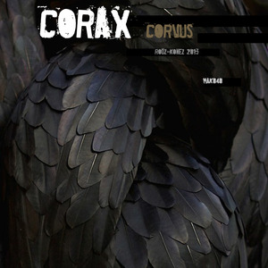 Corvus