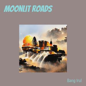 Moonlit Roads