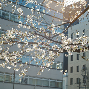 狭間 (feat. 裏命)