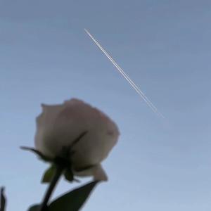 小行迹（生日版）