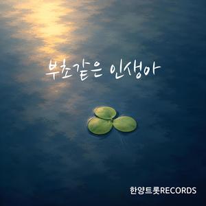 부초같은 인생아