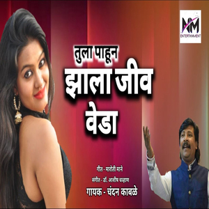 Tula Pahun Zala Jiv Veda