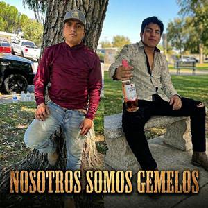 NOSOTROS SOMOS GEMELOS