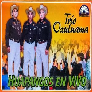 Presentación