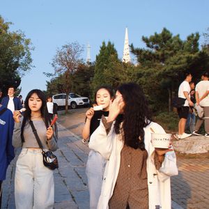 羞答答的玫瑰静悄悄地开