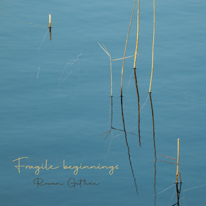 Fragile beginnings