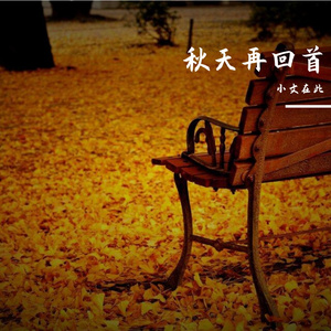 忘不了的那个秋天