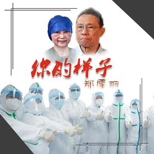 你的样子 伴奏（C调）