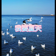 甜甜咸咸 (思念版)