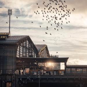 Note It in FreedRain II