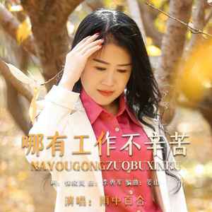 哪有工作不辛苦 (DJ默涵版)