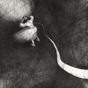 Привет из жёлтого дубая