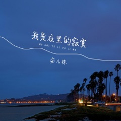 我是夜里的寂寞