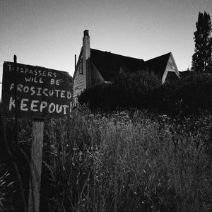 Welcome to the Woods