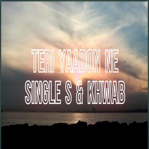 Teri Yaadon Ne