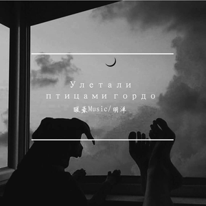 Улетали птицами гордыми