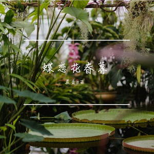 蝶恋花春暮