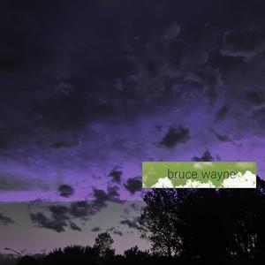 bruce wayne