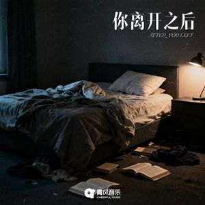 你离开之后