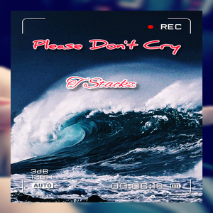 Please Dont Cry