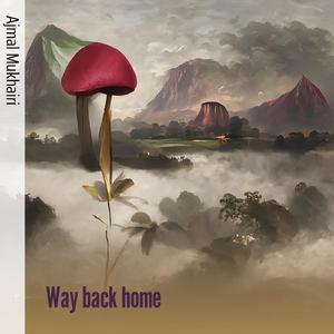 Way back home