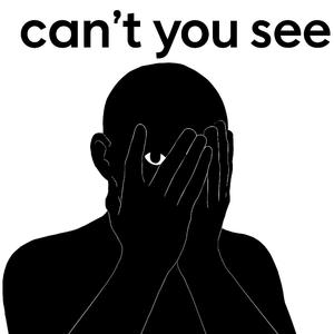 Can't you see (feat. Tthirty3)