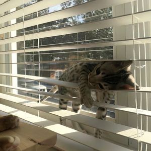 【Free】“关于”xJersey Club Type Beat