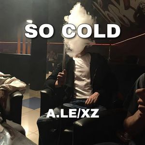 So Cold (A.Le/XZ/是听风/释怀. Remix)