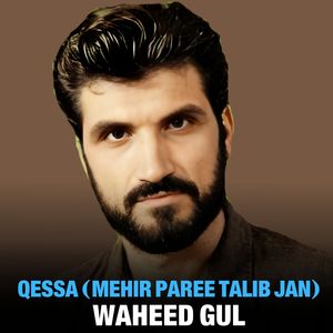 Qessa (Mehir Paree Talib Jan)