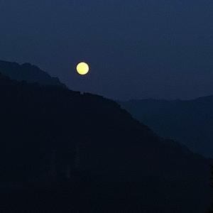 成都批话之神 (Instrumental)