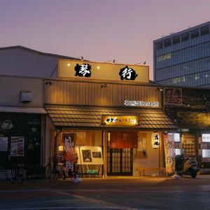 我在朝阳路开了一家琴行