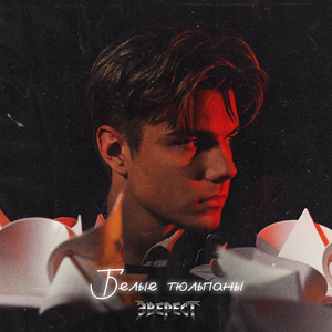 Белые тюльпаны