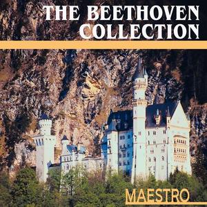 Piano Sonata No. 23 In F Minor, Op. 57 "Appasionata" (Allegro Assai)