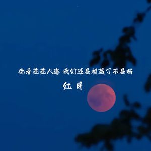 你看茫茫人海 我们还是相遇了不是吗