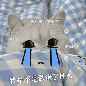 小星星（片段）