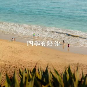 四季有陪伴