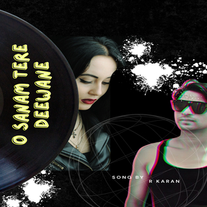 O Sanam Tere Deewane