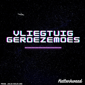 Vliegtuig Geroezemoes