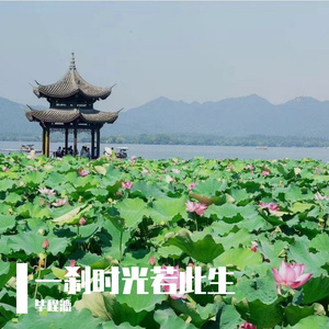 一刹时光若此生