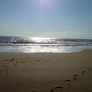 Walking Through Taaj's Paradise